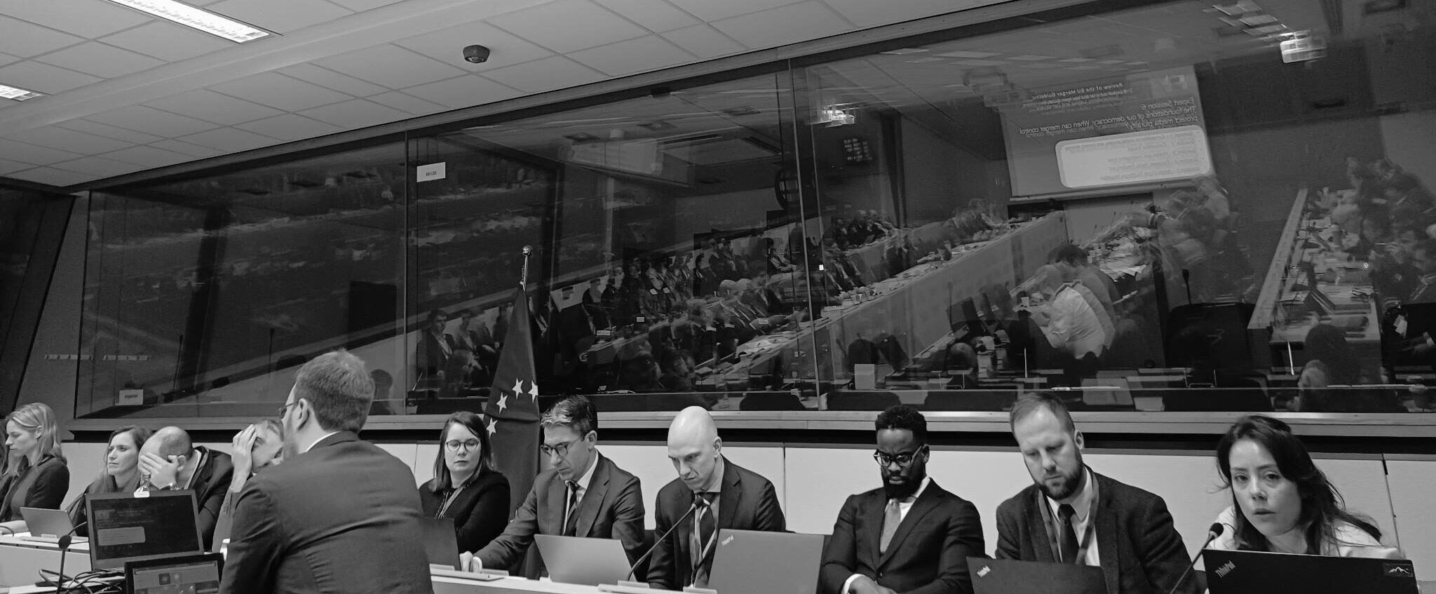Merger Control: Revisions to the EU Guidelines - Rebalance Now